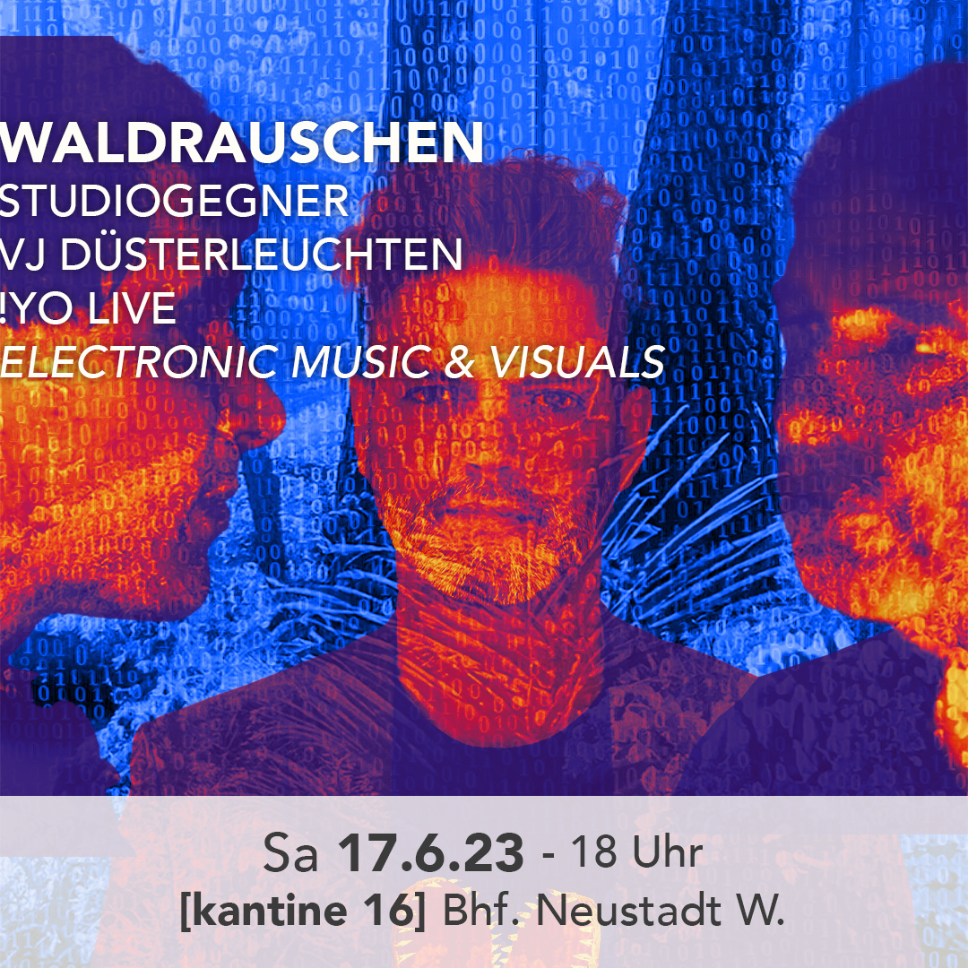WALDRAUSCHEN mit studiogegner - vj düsterleuchten - !YO live - electronic music & visuals